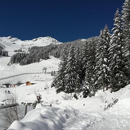 Superbe Studio Aux 7 Laux La Ferriere  Luaran gambar