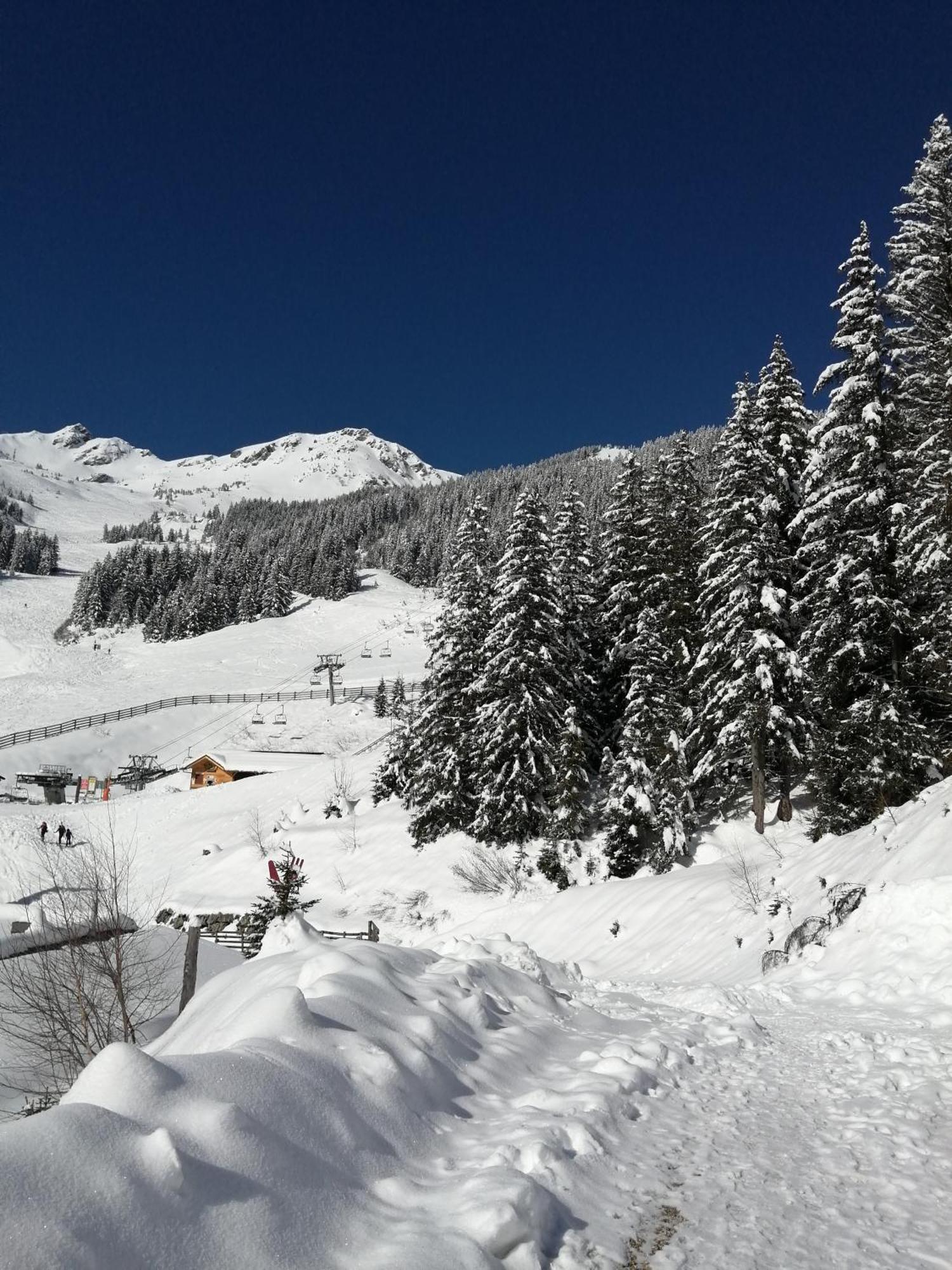 Superbe Studio Aux 7 Laux La Ferriere  Luaran gambar