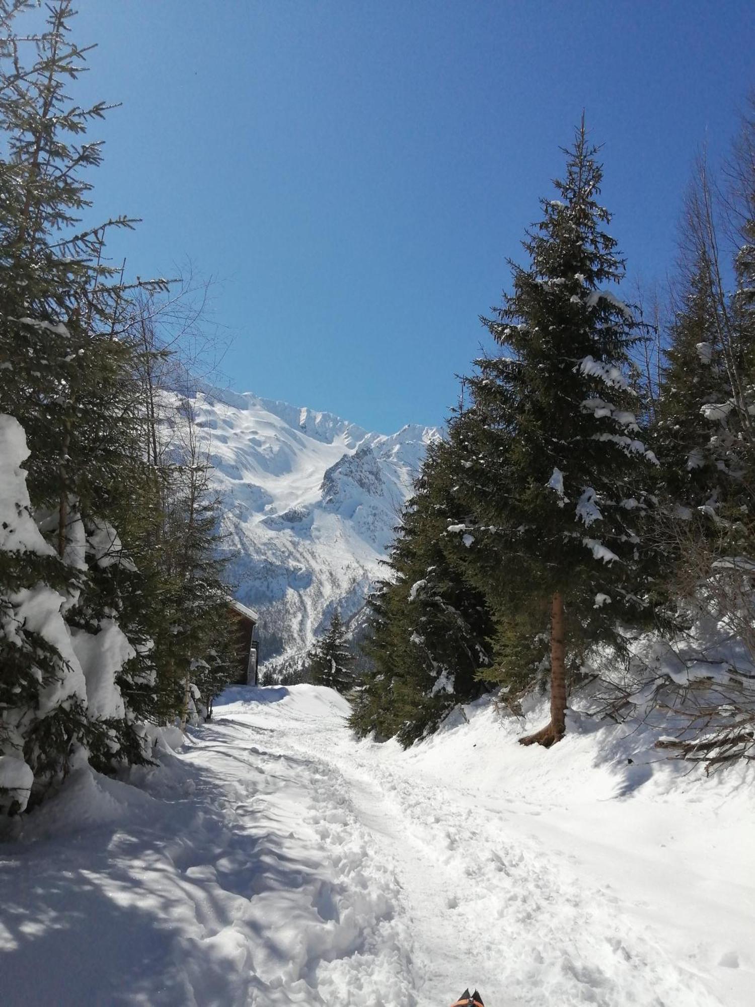 Superbe Studio Aux 7 Laux La Ferriere  Luaran gambar